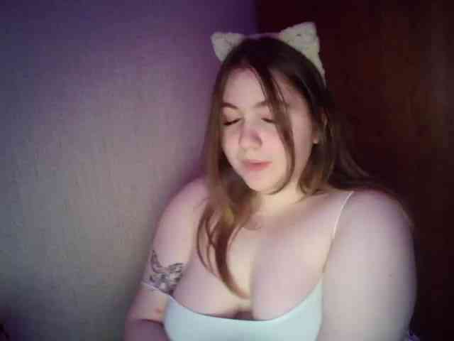 Meowmaw webcam