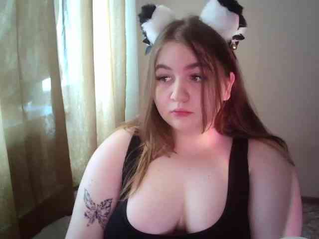 Meowmaw webcam