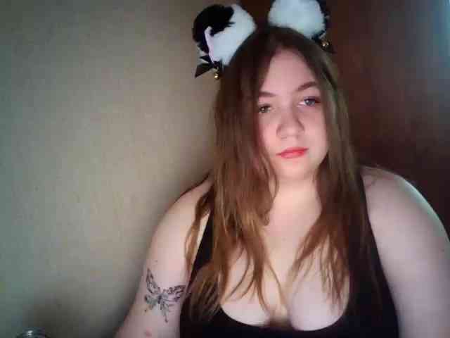 Meowmaw webcam
