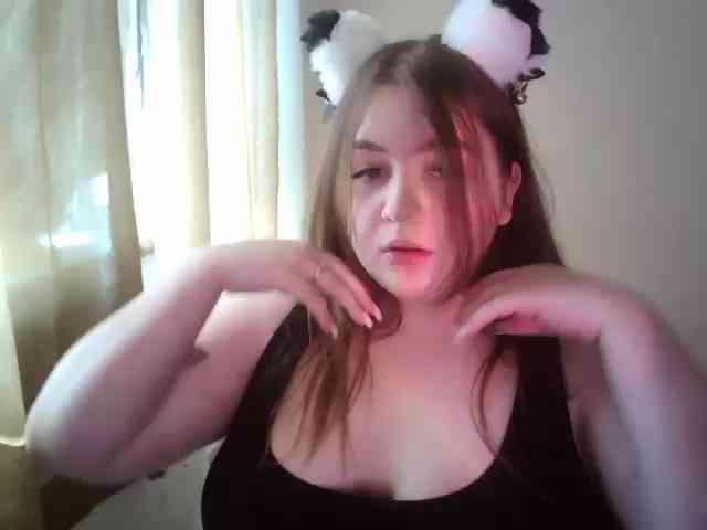 Meowmaw webcam