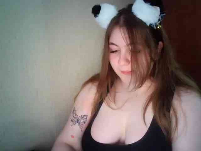 Meowmaw webcam