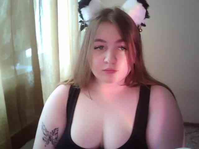 Meowmaw webcam