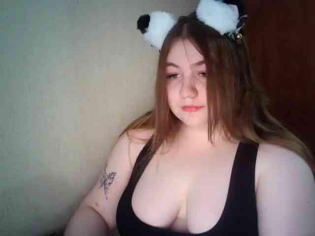 Meowmaw webcam
