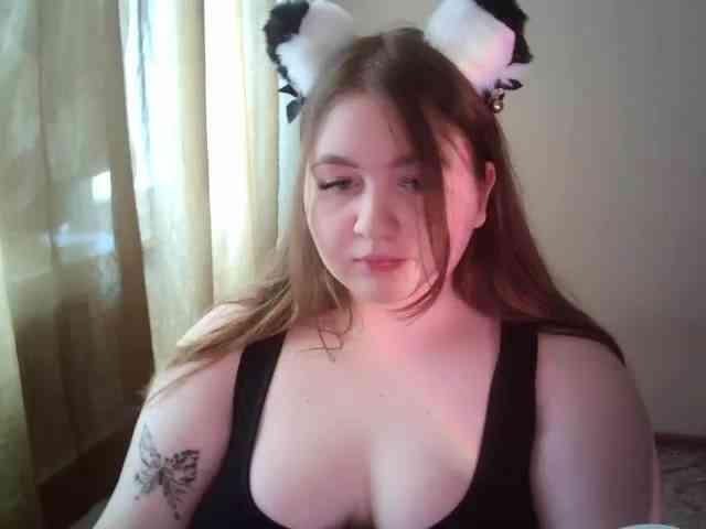 Meowmaw webcam