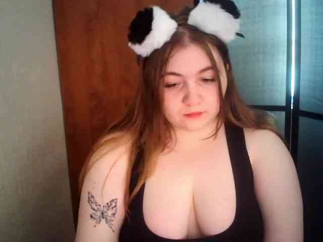 Meowmaw webcam