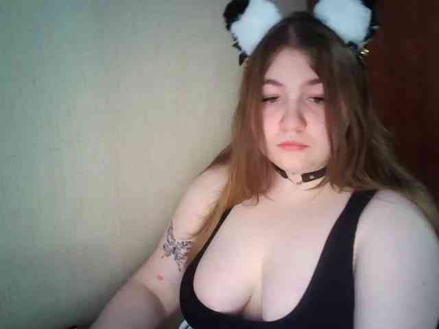 Meowmaw webcam
