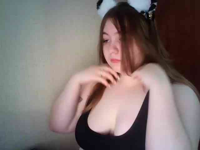 Meowmaw webcam