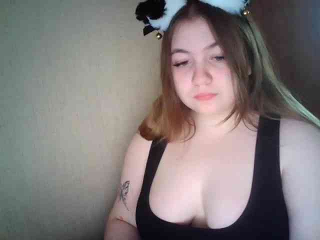 Meowmaw webcam