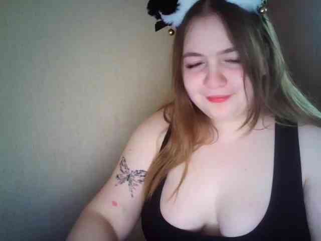 Meowmaw webcam