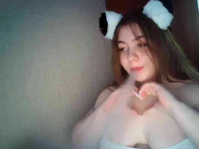 Meowmaw webcam