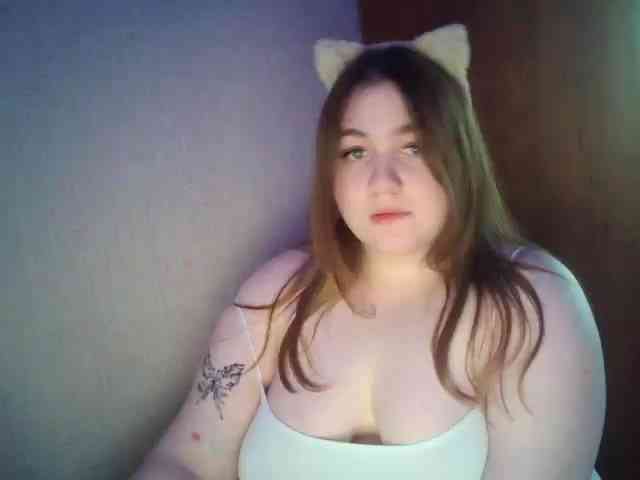 Meowmaw webcam