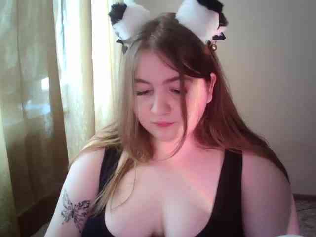 Meowmaw webcam