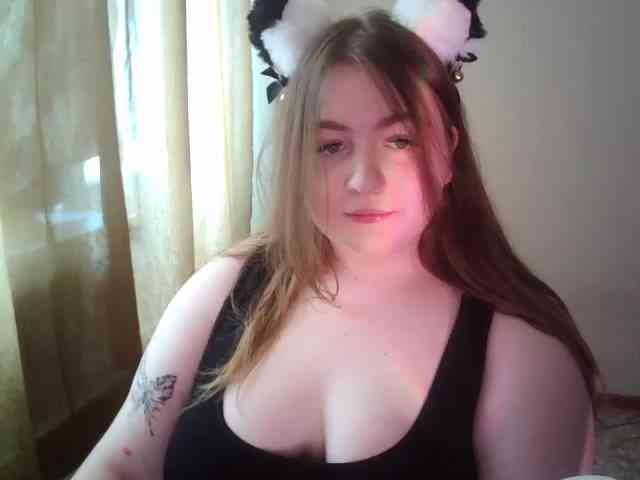 Meowmaw webcam