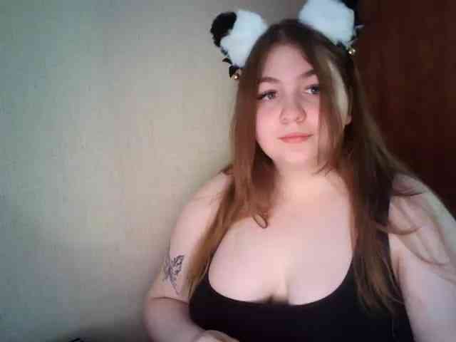 Meowmaw webcam