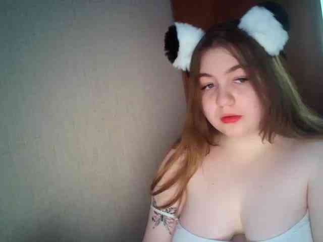 Meowmaw webcam