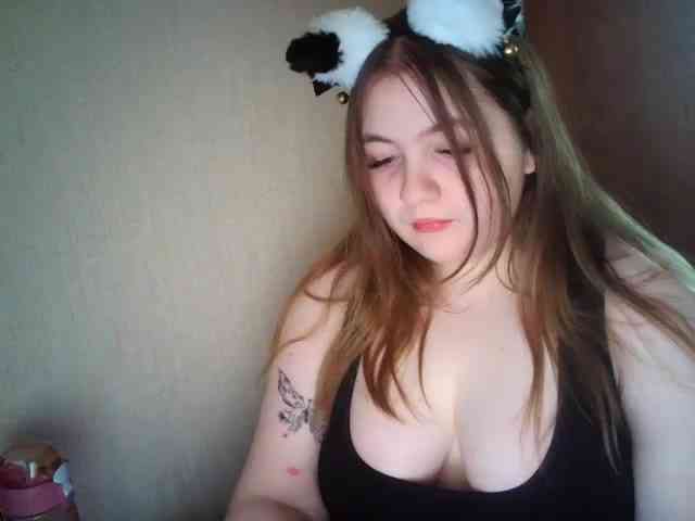 Meowmaw webcam