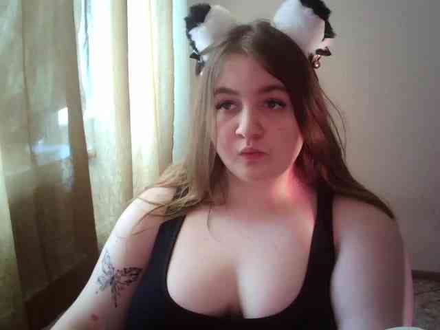 Meowmaw webcam