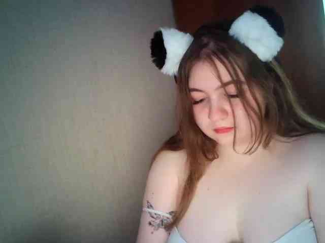 Meowmaw webcam