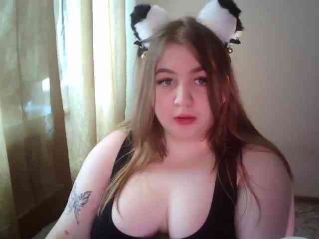 Meowmaw webcam