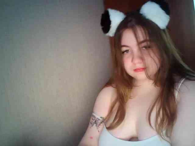 Meowmaw webcam
