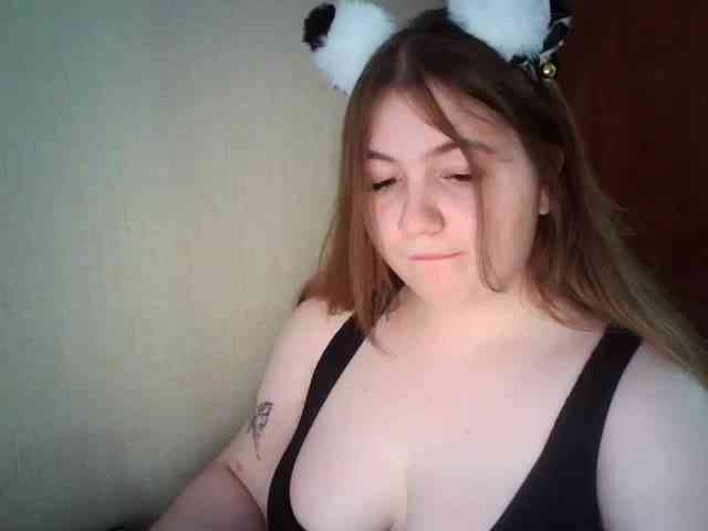 Meowmaw webcam