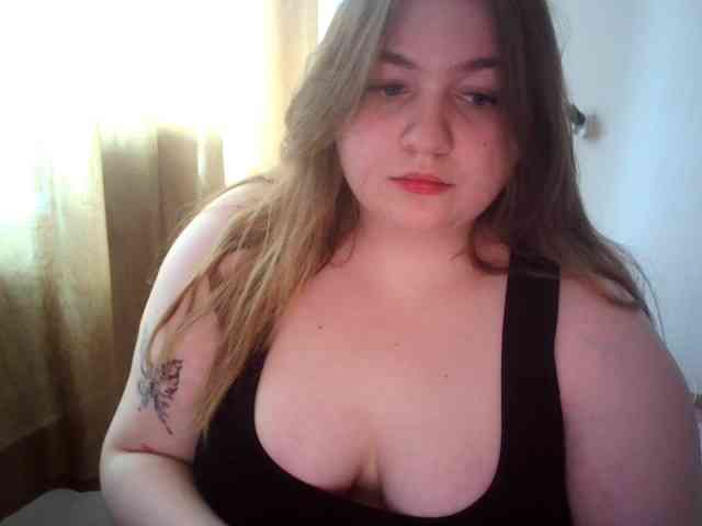 Meowmaw webcam