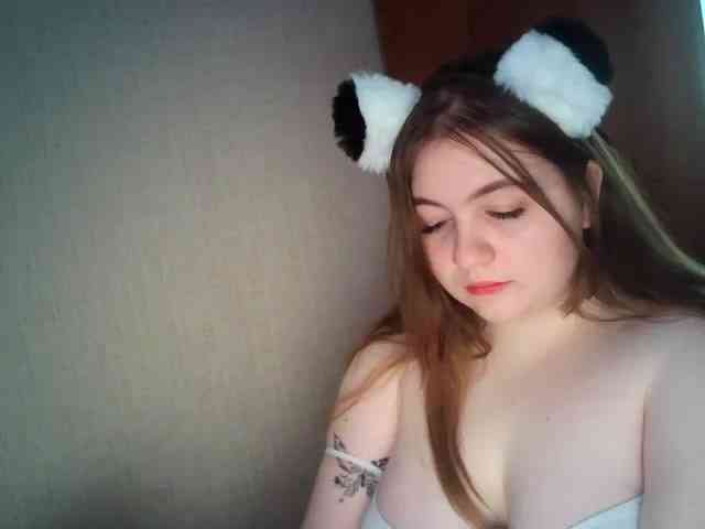 Meowmaw webcam