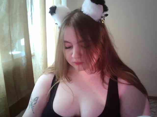 Meowmaw webcam