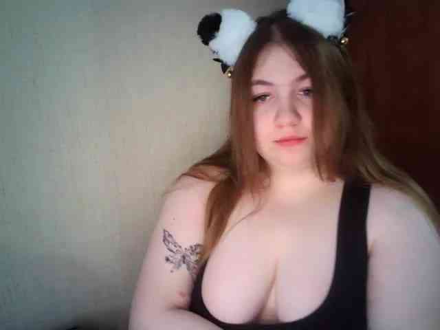 Meowmaw webcam