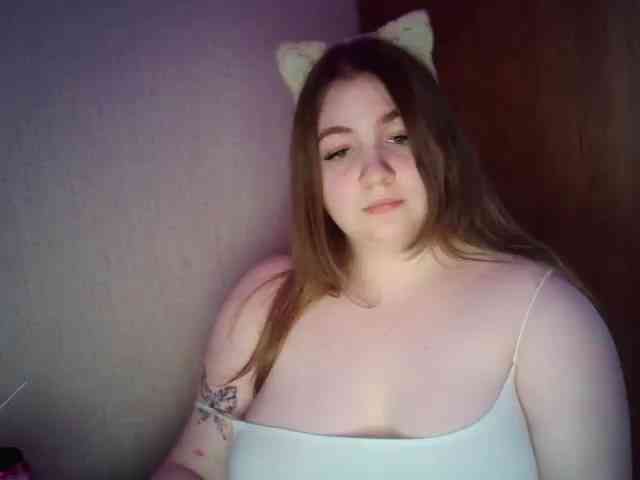 Meowmaw webcam