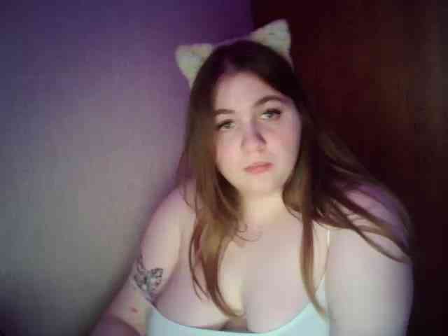 Meowmaw webcam