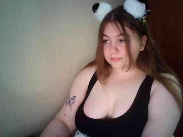 Meowmaw webcam