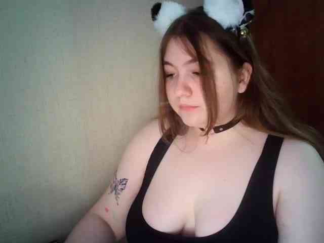Meowmaw webcam
