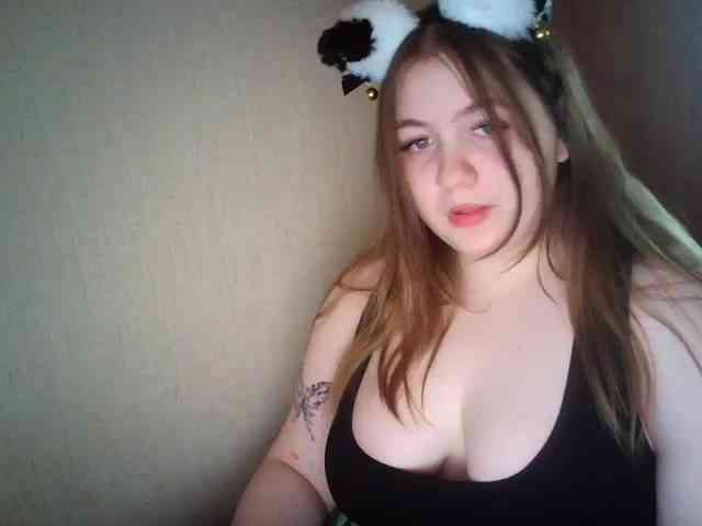 Meowmaw webcam