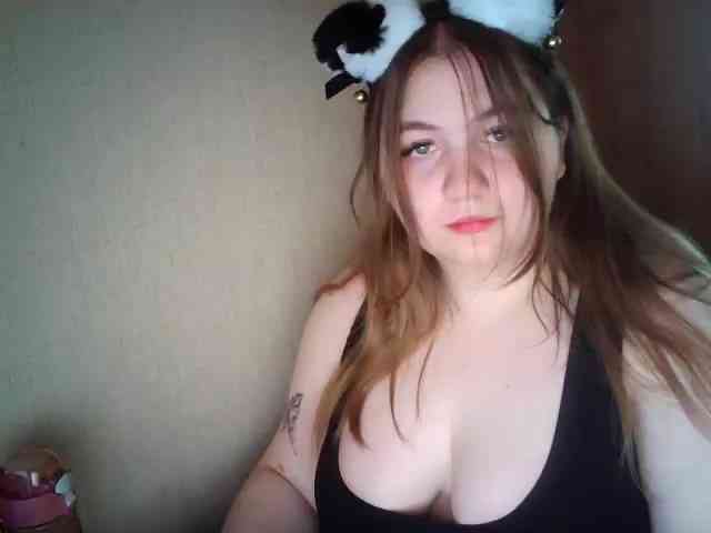 Meowmaw webcam