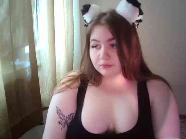 Meowmaw webcam
