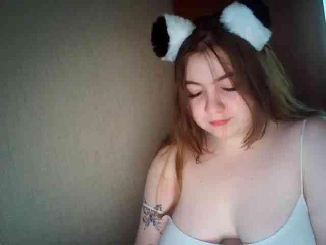 Meowmaw webcam