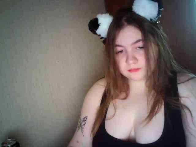 Meowmaw webcam