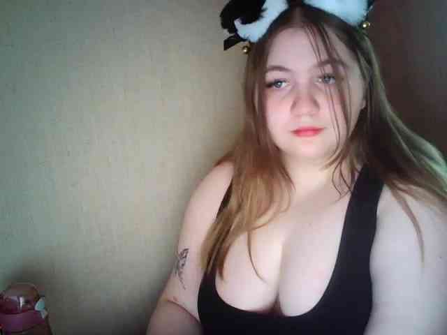 Meowmaw webcam