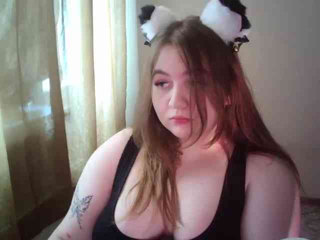 Meowmaw webcam