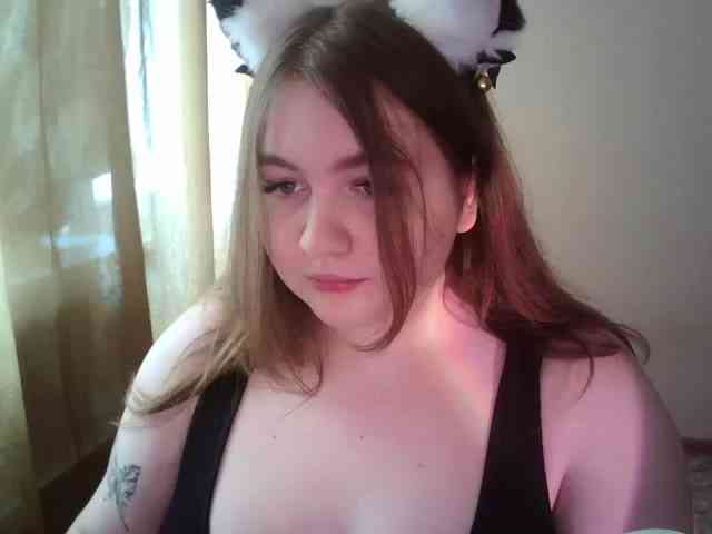 Meowmaw webcam