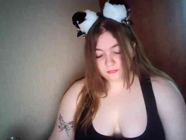 Meowmaw webcam