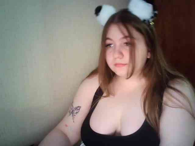 Meowmaw webcam