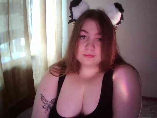 Meowmaw webcam