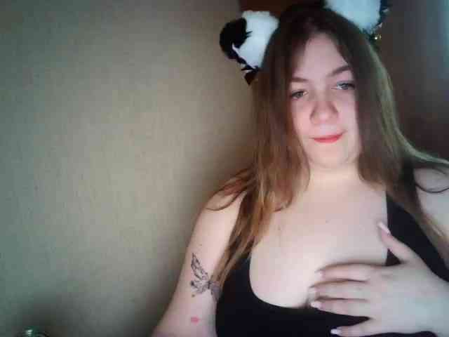 Meowmaw webcam