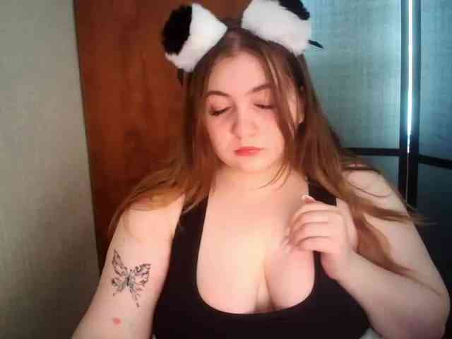 Meowmaw webcam