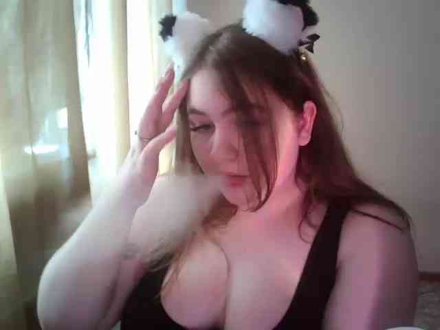 Meowmaw webcam