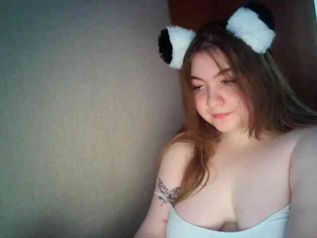 Meowmaw webcam