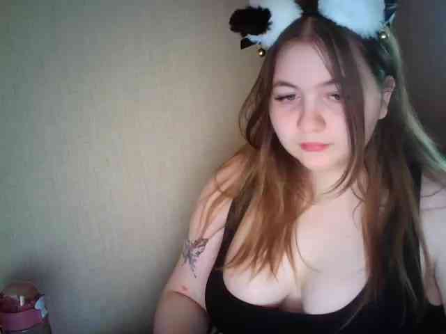 Meowmaw webcam