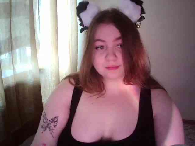 Meowmaw webcam
